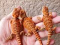 フトアゴヒゲトカゲ　ハーフダークレッド